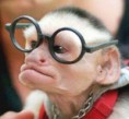 /album/funny-obrazky/funny-pictures-of-monkeys-jpg/