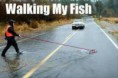 /album/funny-obrazky/images-1-jpeg/