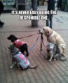 /album/funny-obrazky/funny-animals-101-jpg/