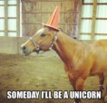 /album/funny-obrazky/funny-horse-memes-10-jpg/